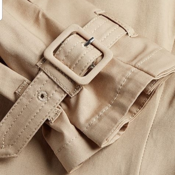 Express Trench Coat - Picture 6 of 10